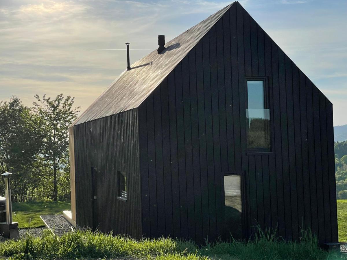 Domy Wypoczynkowe W Beskidach - Odpoczywaj W Naturze Laskowa  Exterior photo