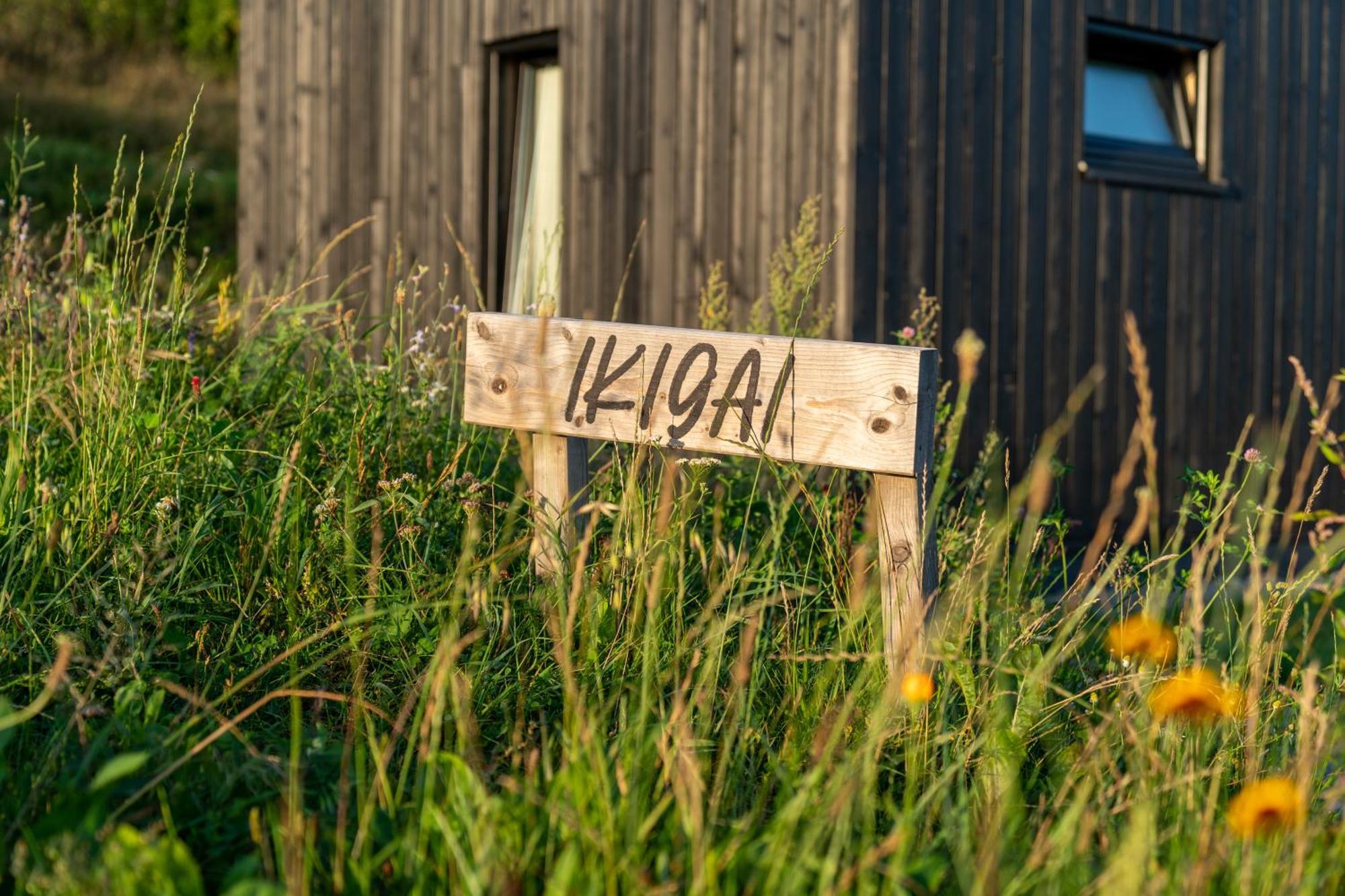 Domy Wypoczynkowe W Beskidach - Odpoczywaj W Naturze Laskowa  Exterior photo