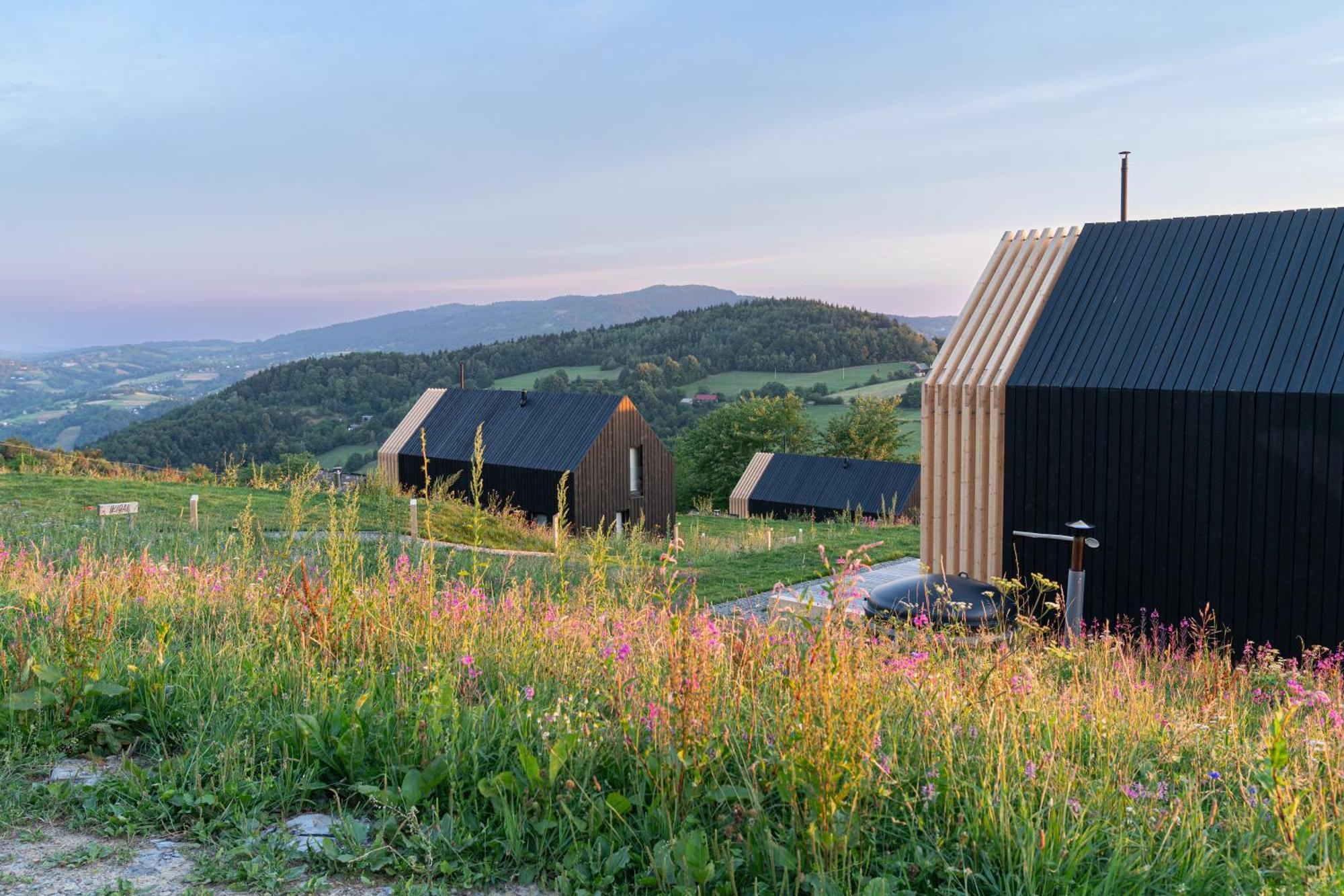 Domy Wypoczynkowe W Beskidach - Odpoczywaj W Naturze Laskowa  Exterior photo