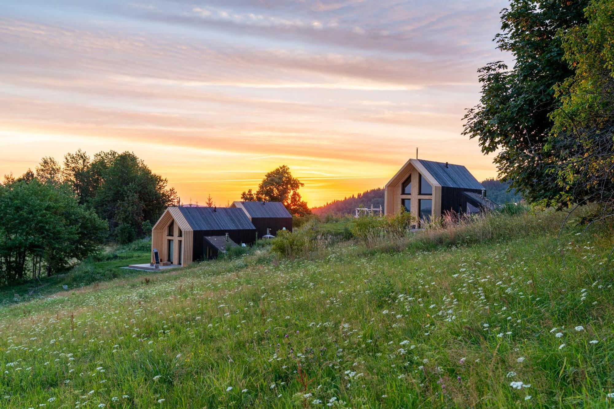 Domy Wypoczynkowe W Beskidach - Odpoczywaj W Naturze Laskowa  Exterior photo